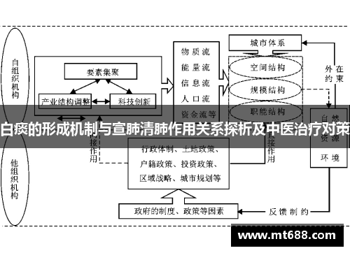 白痰的形成机制与宣肺清肺作用关系探析及中医治疗对策 白痰的形成机制与宣肺清肺作用关系探析及中医治疗对策