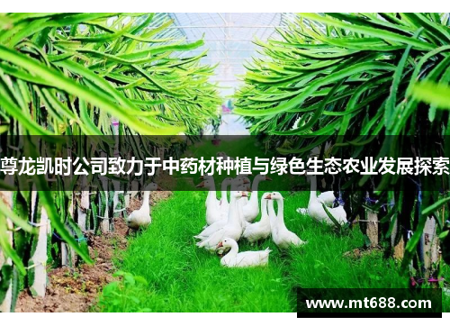 尊龙凯时公司致力于中药材种植与绿色生态农业发展探索